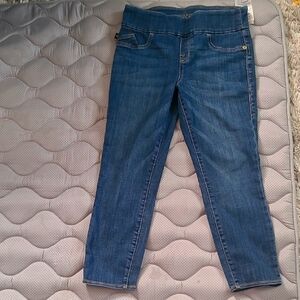 Rock & Republic Tha Slimming Denim cure Women's Blue Jegging  Fever Crop Size 12